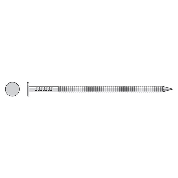 Simpson S2HACN1 Common Nail, Annular Ring Shank — 1 in. x .083 in. Type 304 Stainless Steel 1 lb.